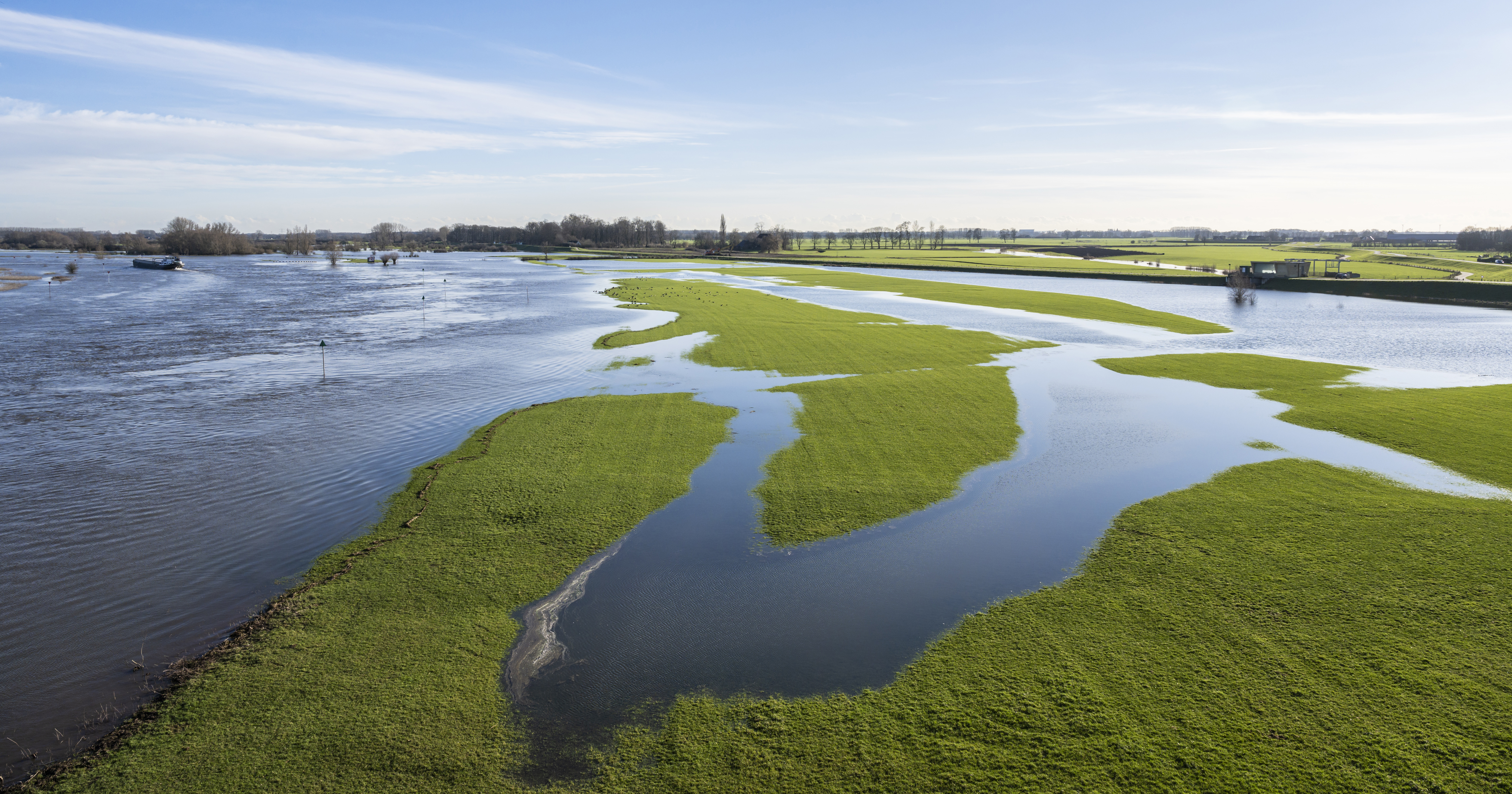 grass landscape and water