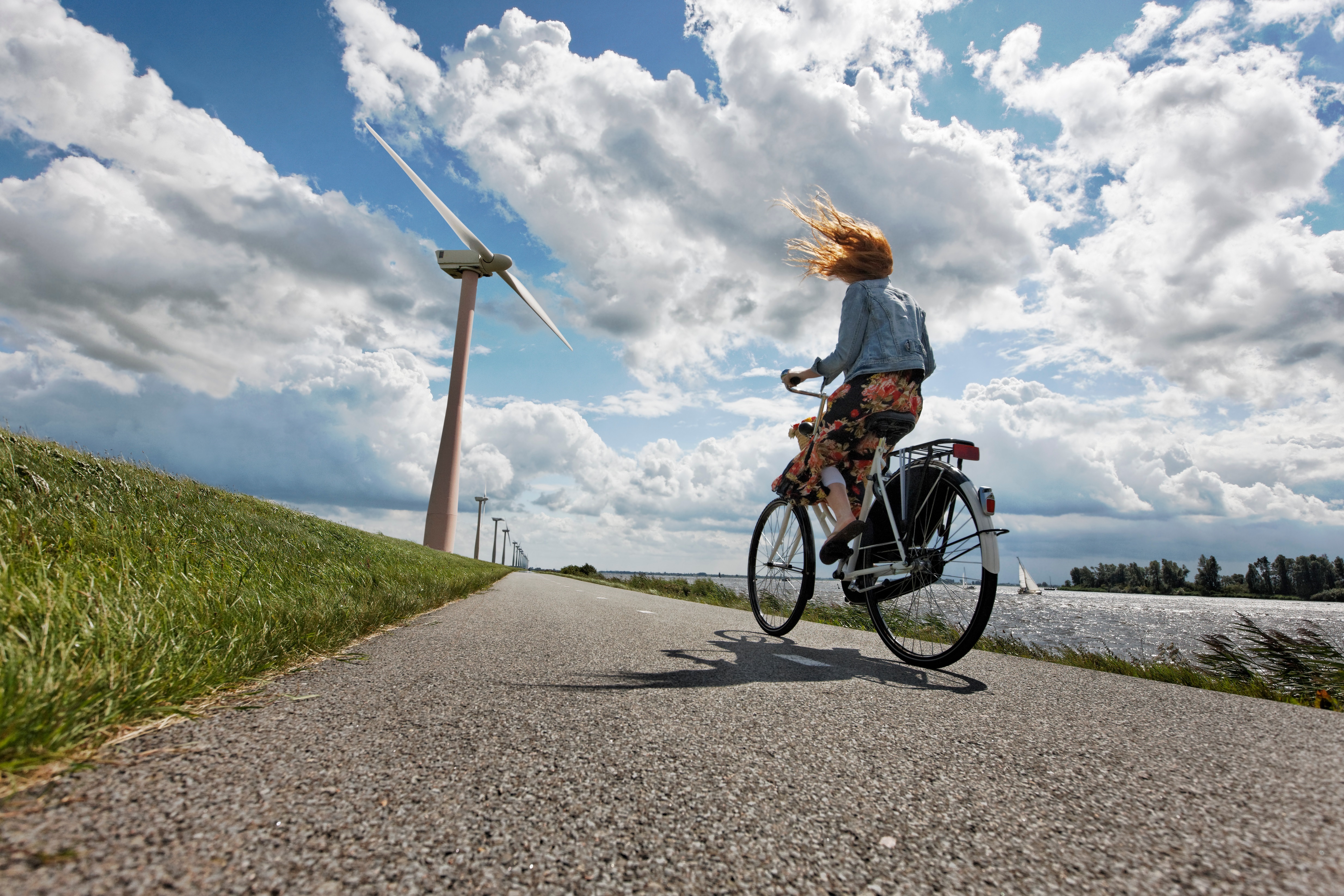 Transition Ecologique et Energétique 