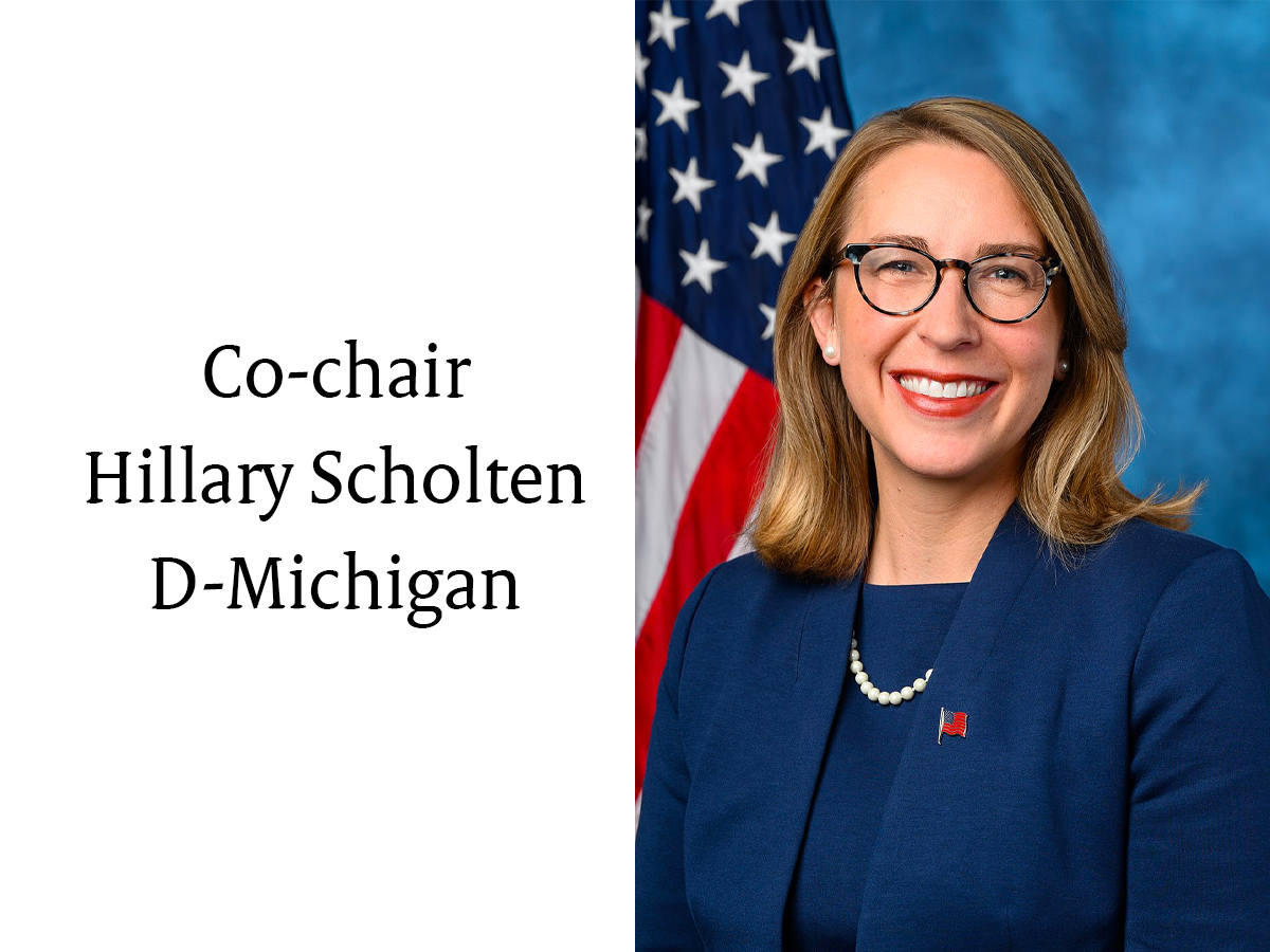 Portrait of Representative Hillary Scholten