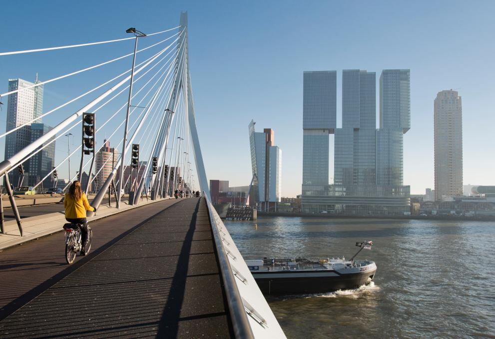 Erasmus Bridge