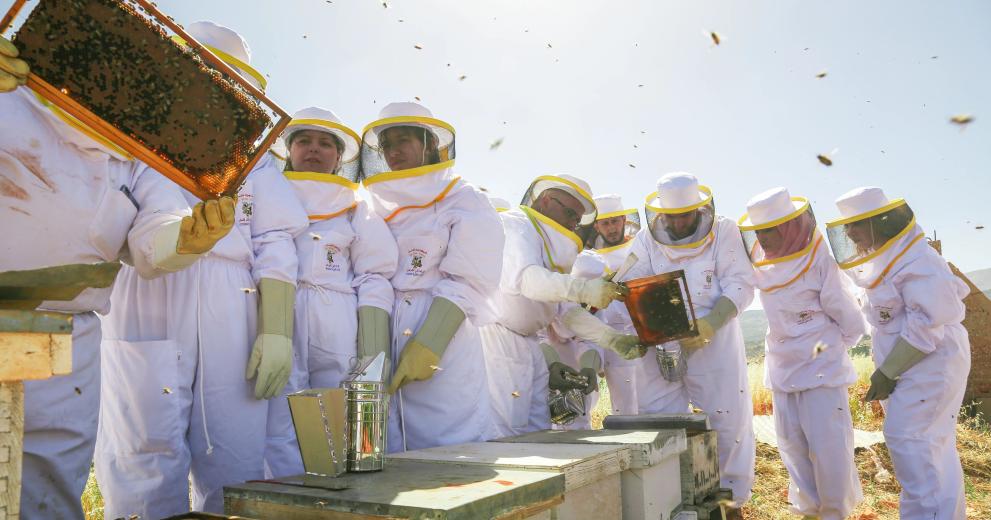 UNDP Youth training support to bee keeping.