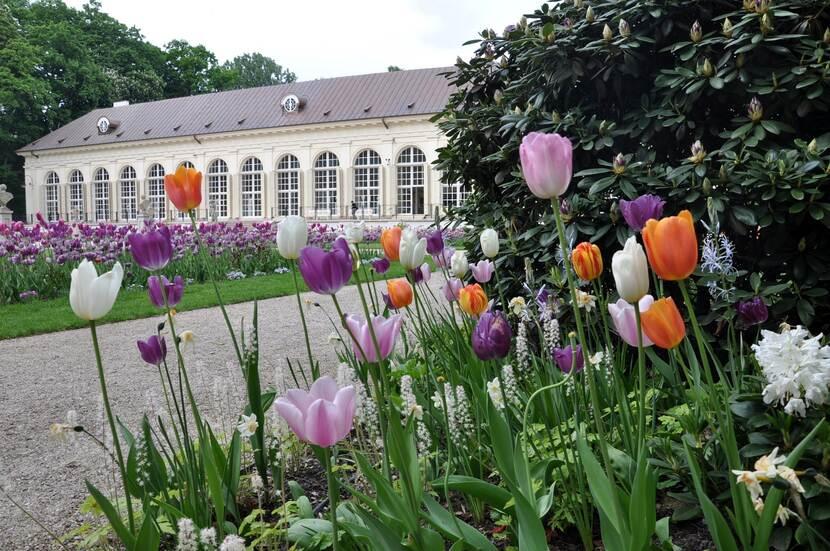 Dutch Garden in Warsaw