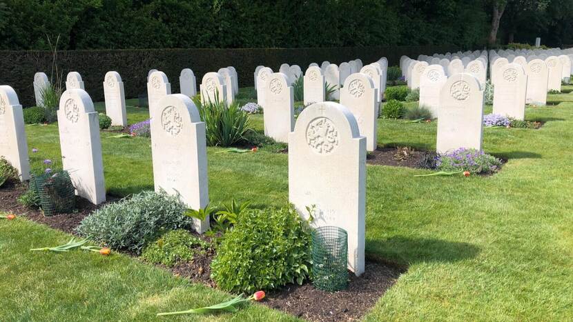 Netherlands Field of Honour, Mill Hill Cemetery, London